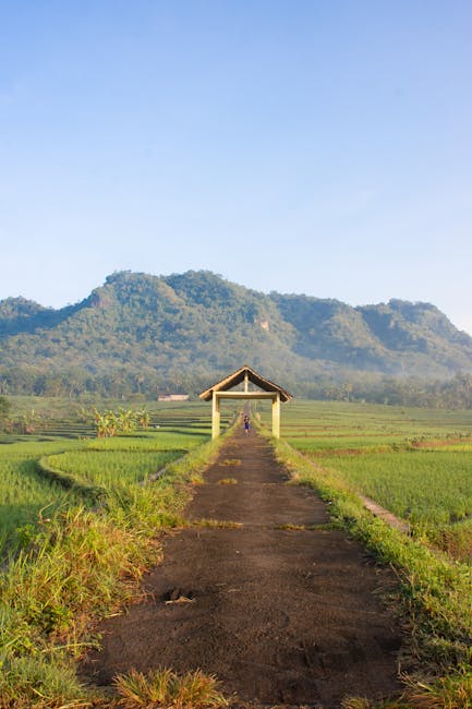 Mesra Alam